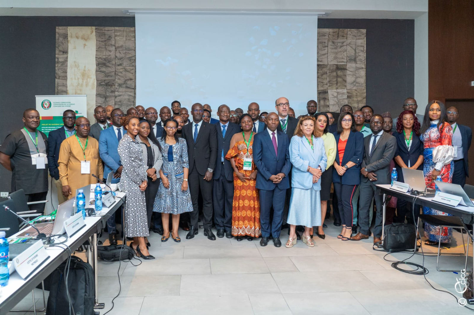 Regional Workshop on Examining and Validating Regulatory and Institutional Documents for the Africa-to-Africa Gas Pipeline Project