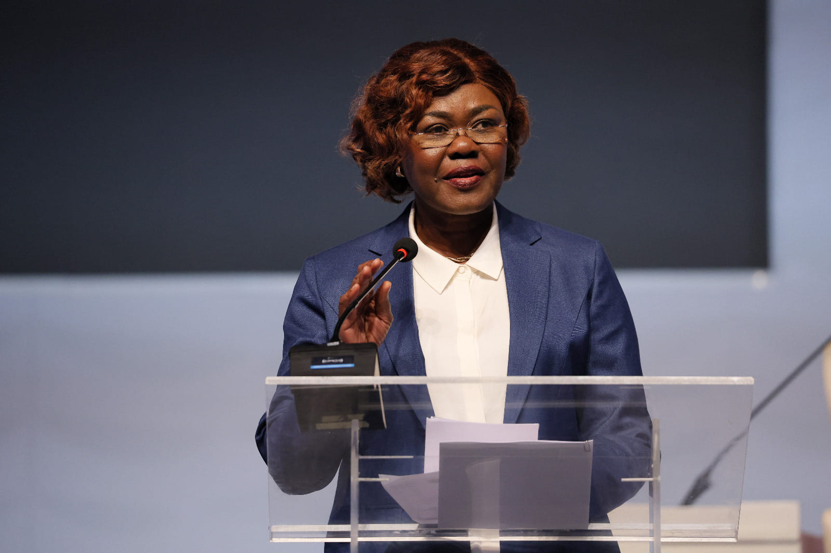 Assembled for Africa’s Economic Development: Minister Nialé Kaba Reaffirms Côte d’Ivoire's Commitment to IDA-21 Success